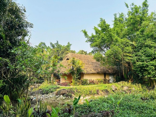 Family Sutie Secret Garden